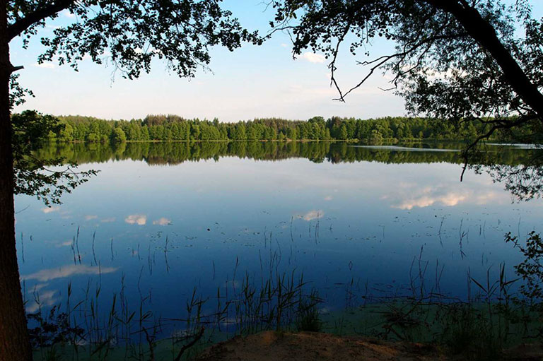 Озеро Сеньга Владимирской области