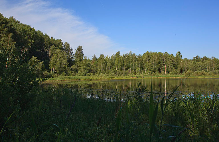 Озеро Светец Владимирской области