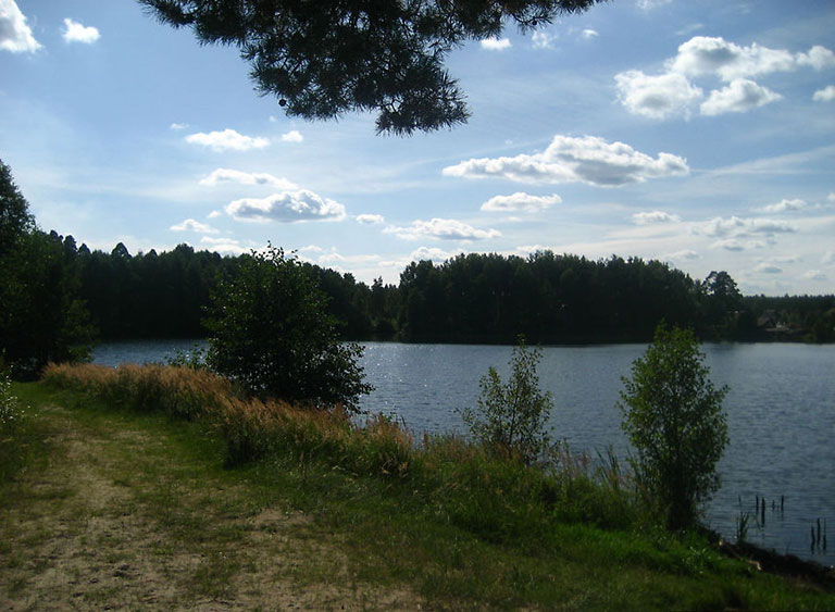 Озеро Белое Владимирской области