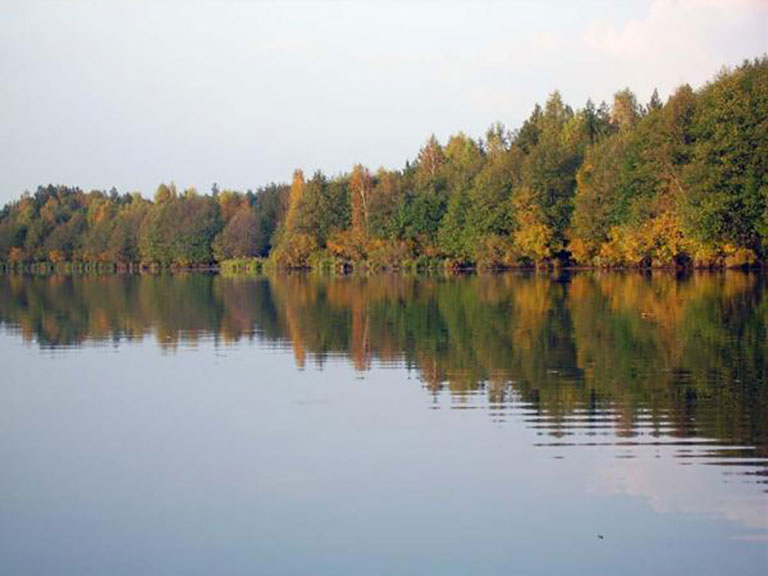 Озеро Чащинское Владимирской области