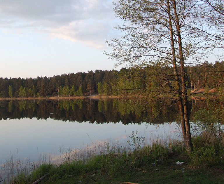 Озеро Черное Владимирской области