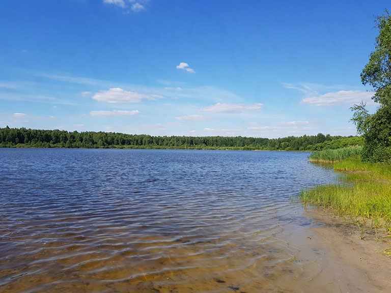 Озеро Грибовское Владимирской области