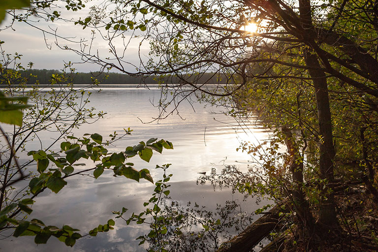 Озеро Круглое Владимирской области