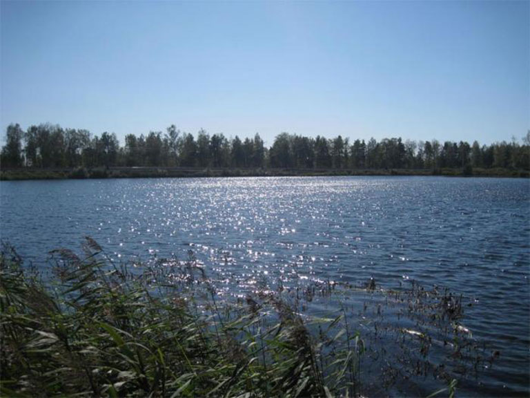 Озеро Кукушкинское Владимирской области
