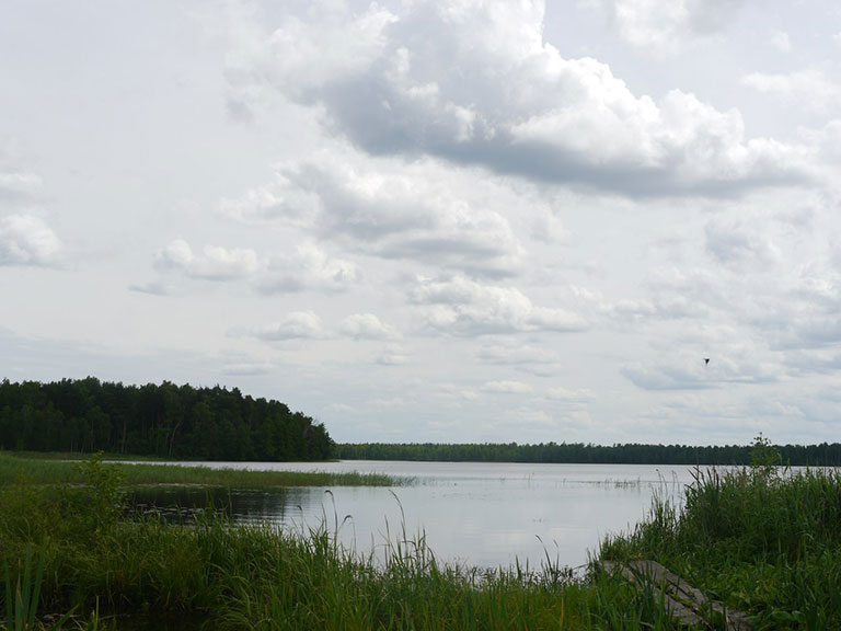 Озеро Мошновское Владимирской области