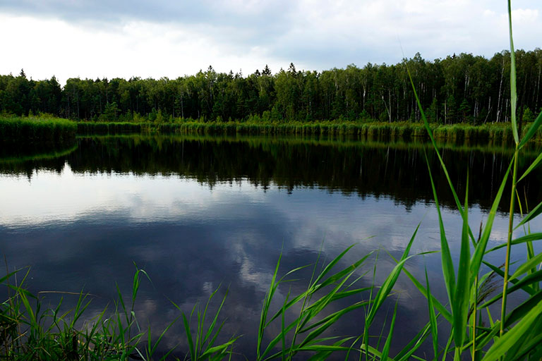 Озеро Оленье Владимирской области